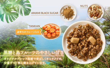 Amami フルーツ グラノーラ （ たんかん ） 約 200g 黒糖 保存料 無添加 A198-002 フルーツグラノーラ 加工食品 加工品 キャラメリゼ 島フルーツ 果物 果実 Plumeri Cafe ふるさと納税 鹿児島 奄美市 おすすめ ランキング プレゼント ギフト