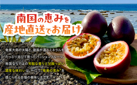 【 2026年 先行予約 】【 情熱のタマ 】 奄美産 パッションフルーツ 1.5kg （ 18玉前後 ） A203-001-01 フルーツ 果物 果実 期間限定 限定 甘酸っぱい 濃厚 美味しい おいしい 産地直送 奄美あさひ農園 ふるさと納税 鹿児島 奄美市 おすすめ ランキング プレゼント ギフト