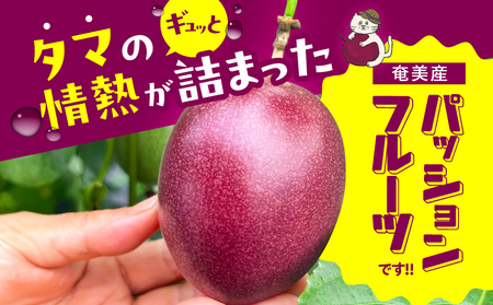 【 2026年 先行予約 】【 情熱のタマ 】 奄美産 パッションフルーツ 3.5kg （ 45玉前後 ） A203-001-02 フルーツ 果物 果実 期間限定 限定 甘酸っぱい 濃厚 美味しい おいしい 産地直送 奄美あさひ農園 ふるさと納税 鹿児島 奄美市 おすすめ ランキング プレゼント ギフト