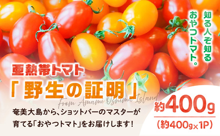 【 2026年先行予約 】 亜熱帯トマト 「 野生の証明 」 約400g ( 約400g×1P ) A021-002-02 トマト 甘い 野菜 フルーツトマト