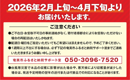 【 2026年先行予約 】 亜熱帯トマト 「 野生の証明 」 約400g ( 約400g×1P ) A021-002-02 トマト 甘い 野菜 フルーツトマト