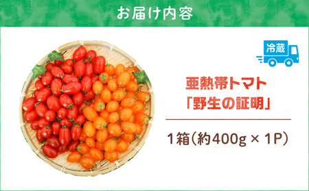 【 2026年先行予約 】 亜熱帯トマト 「 野生の証明 」 約400g ( 約400g×1P ) A021-002-02 トマト 甘い 野菜 フルーツトマト