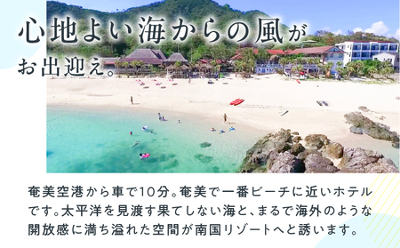 奄美リゾート ばしゃ山村 1泊2食付き 宿泊券 （大人1名様） A058-001 1泊2食付 1泊2食 宿泊 海 至福 海外 開放感 予約必須 奄美 リゾート 奄美リゾートばしゃ山村 ふるさと納税 奄美市 おすすめ ランキング プレゼント ギフト