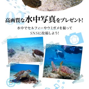 ウミガメシュノーケリング(2名様) - アクティビティ 体験型 シュノーケリング ウミガメ 2名分 水中写真 ガイド付 完全貸切