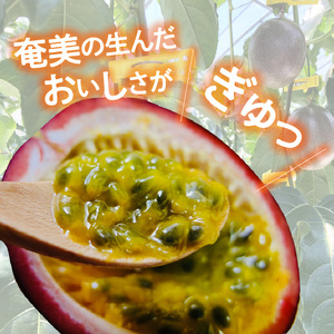 数量限定 ！農家 自家製 パッションフルーツ ジュース 2本 セット A035-001 パッションフルーツジュース ジュース フルーツジュース パッションジュース 果実飲料 フルーツ 果物 くだもの 果実 フレッシュ B-カロテン リノール酸 ビタミンB6 美容 健康 自家農園 農薬不使用 奄なつファーム ふるさと納税 鹿児島 奄美市 おすすめ ランキング プレゼント ギフト