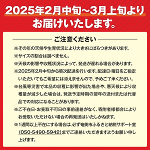 【 2025年 先行予約 】 農家直送 奄美 たんかん 良品4kg A067-001 奄美たんかん タンカン 果物 フルーツ 果実 甘い 濃厚 産地 直送 先行 先行受付 予約 受付 特産品 奄美大島産 期間限定 奄美群島たんかん品評会 鹿児島 奄美 美味しい おいしい ジューシー 果汁 ワイワイファーム ふるさと納税 奄美市 おすすめ ランキング プレゼント ギフト