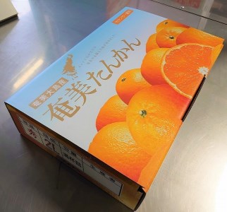 【 2025年 発送 先行予約 】奄美 たんかん 贈答用（秀品）3kg 化粧箱 A070-003 タンカン 果物 くだもの フルーツ 奄美たんかん 数量限定 限定販売 期間限定 限定 果実 ジューシー 甘み 酸味 秀品 贈答用 高品質 美味しい おいしい ご褒美 贅沢 ごほうび あまみ農業協同組合 ふるさと納税 鹿児島県 奄美市 おすすめ ランキング プレゼント ギフト