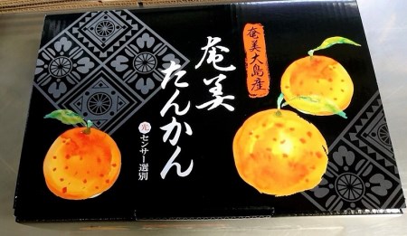 【 2025年発送 先行予約 】奄美 たんかん 贈答用（ 優品 ）5kg 化粧箱 A070-004 タンカン 果物 くだもの フルーツ 奄美たんかん 数量限定 限定販売 期間限定 限定 果実 ジューシー 甘み 酸味 贈答用 高品質 美味しい おいしい ご褒美 贅沢 ごほうび あまみ農業協同組合 ふるさと納税 鹿児島県 奄美市 おすすめ ランキング プレゼント ギフト