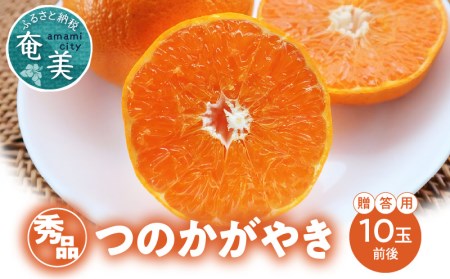 【 期間 ・ 数量限定 ！】奄美 つのかがやき ＜ 秀品 ＞ 化粧箱 （ 8～15玉入 ）4L～Lサイズ【 贈答用 】 A070-005 みかん ミカン 蜜柑 果物 くだもの フルーツ 果実 柑橘類 柑橘 完熟 厳選 期間限定 限定 人気 甘い 化粧箱 お歳暮 贈答用 美味しい おいしい ジューシー あまみ農業協同組合 ふるさと納税 奄美市 おすすめ ランキング プレゼント ギフト