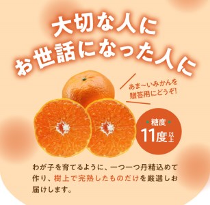 【 期間 ・ 数量限定 ！】奄美 つのかがやき ＜ 秀品 ＞ 化粧箱 （ 8～15玉入 ）4L～Lサイズ【 贈答用 】 A070-005 みかん ミカン 蜜柑 果物 くだもの フルーツ 果実 柑橘類 柑橘 完熟 厳選 期間限定 限定 人気 甘い 化粧箱 お歳暮 贈答用 美味しい おいしい ジューシー あまみ農業協同組合 ふるさと納税 奄美市 おすすめ ランキング プレゼント ギフト