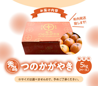 【 期間 ・ 数量限定！】奄美 つのかがやき ＜ 秀品 ＞化粧箱 5kg （満杯詰め）3L～Mサイズ【 贈答用 】 A070-006 みかん ミカン 蜜柑 果物 くだもの フルーツ 果実 柑橘類 柑橘 完熟 厳選 期間限定 限定 人気 甘い 秀品 化粧箱 お歳暮 美味しい おいしい ジューシー あまみ農業協同組合 ふるさと納税 奄美市 おすすめ ランキング プレゼント ギフト