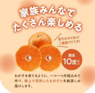 【 期間 ・ 数量限定 ！】奄美 つのかがやき ＜ 良品 ＞5kg D.B（ 3L～Mサイズ ）【 家庭用 】 A070-008 みかん ミカン 蜜柑 果物 くだもの フルーツ 果実 柑橘類 柑橘 完熟 厳選 期間限定 限定 人気 甘い 美味しい おいしい ジューシー あまみ農業協同組合 ふるさと納税 奄美市 おすすめ ランキング プレゼント ギフト