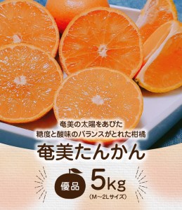 【 2025年 先行予約 】奄美タンカン 優品 5kg（ 2L ～ Mサイズ ）　A074-002 たんかん 果物 フルーツ 果実 甘い 濃厚 産地直送 先行受付 予約 受付 特産品 奄美大島産 期間限定 鹿児島 奄美 美味しい おいしい ジューシー 果汁 叶農園 ふるさと納税 奄美市 おすすめ ランキング プレゼント ギフト