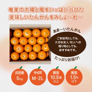 【 2025年 先行予約 】奄美タンカン 優品 5kg（ 2L ～ Mサイズ ）　A074-002 たんかん 果物 フルーツ 果実 甘い 濃厚 産地直送 先行受付 予約 受付 特産品 奄美大島産 期間限定 鹿児島 奄美 美味しい おいしい ジューシー 果汁 叶農園 ふるさと納税 奄美市 おすすめ ランキング プレゼント ギフト