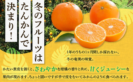 【 2025年 先行予約 】 奄美 の たんかん 家庭用 5kg （ 皮むき器 ・ 情報誌付 ） A052-022-01 果物 フルーツ 奄美産たんかん 先行受付 しーま ふるさと納税 奄美市 おすすめ ランキング プレゼント ギフト