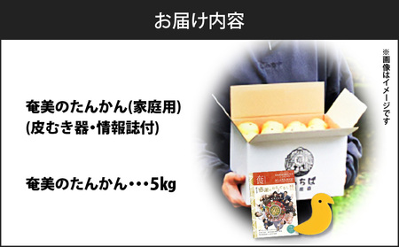 【 2025年 先行予約 】 奄美 の たんかん 家庭用 5kg （ 皮むき器 ・ 情報誌付 ） A052-022-01 果物 フルーツ 奄美産たんかん 先行受付 しーま ふるさと納税 奄美市 おすすめ ランキング プレゼント ギフト