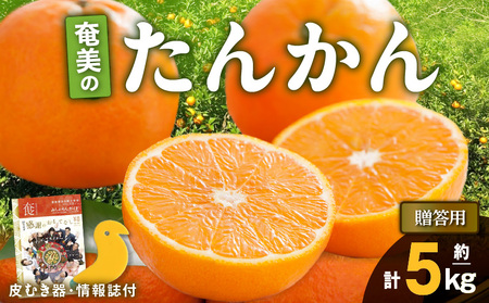 【 2025年 先行予約 】 奄美 の たんかん 贈答用 5kg （ 皮むき器 ・ 情報誌付 ） A052-022-02 果物 フルーツ 奄美産たんかん 先行受付 しーま ふるさと納税 奄美市 おすすめ ランキング プレゼント ギフト