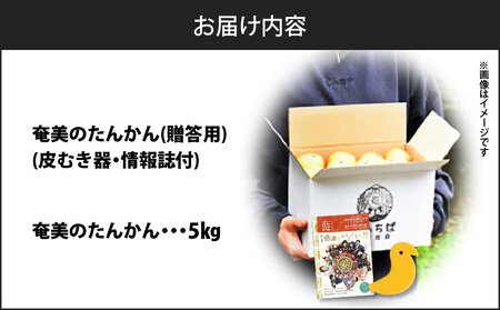 【 2025年 先行予約 】 奄美 の たんかん 贈答用 5kg （ 皮むき器 ・ 情報誌付 ） A052-022-02 果物 フルーツ 奄美産たんかん 先行受付 しーま ふるさと納税 奄美市 おすすめ ランキング プレゼント ギフト