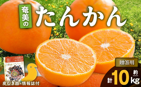 【 2025年 先行予約 】 奄美 の たんかん 贈答用 10kg （ 皮むき器 ・ 情報誌付 ） A052-023-02 果物 フルーツ 奄美産たんかん 先行受付 しーま ふるさと納税 奄美市 おすすめ ランキング プレゼント ギフト