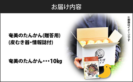 【 2025年 先行予約 】 奄美 の たんかん 贈答用 10kg （ 皮むき器 ・ 情報誌付 ） A052-023-02 果物 フルーツ 奄美産たんかん 先行受付 しーま ふるさと納税 奄美市 おすすめ ランキング プレゼント ギフト