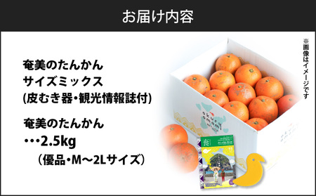 2026年産 奄美 の たんかん サイズミックス 2.5kg（ 皮むき器 ・ 観光情報誌付 ) A052-025 果物 フルーツ 奄美産たんかん 先行受付 先行予約 しーま ふるさと納税 鹿児島 奄美市 おすすめ ランキング プレゼント ギフト