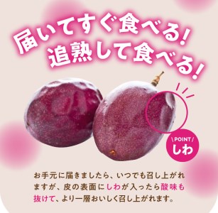 奄美パッションフルーツＡ品12玉入化粧箱(約1kg) - パッションフルーツ