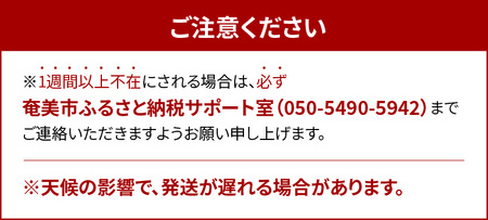 【2025年先行予約】亜熱帯トマト「野生の証明」 A021-002