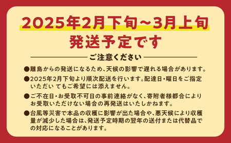 【 先行予約 】たんかん 5kg A021-027 期間 数量 限定 タンカン 甘い 糖度12度前後 みずみずしい 果汁たっぷり キズ有 色むら有 光センサー 柑橘 旬 冬 果物 フルーツ サイズ おまかせ 奄美大島 安田商店 ふるさと納税 鹿児島 奄美市 おすすめ ランキング プレゼント ギフト