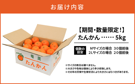 【 先行予約 】たんかん 5kg A021-027 期間 数量 限定 タンカン 甘い 糖度12度前後 みずみずしい 果汁たっぷり キズ有 色むら有 光センサー 柑橘 旬 冬 果物 フルーツ サイズ おまかせ 奄美大島 安田商店 ふるさと納税 鹿児島 奄美市 おすすめ ランキング プレゼント ギフト