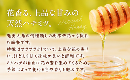 【 自家製 】 完熟 フルーツジャム & 天然 ハチミツ セット A006-002 ジャム ジャムペースト ソース 蜂蜜 はちみつ ハニー フルーツ 果物 たんかん タンカン マンゴー 島ざらめ 着色料 保存料 不使用 奄美大島産 奄美産 たんかんジャム マンゴージャム それいゆハニー 詰め合わせ 詰合せ それいゆふぁ～む ソレイユスマイル ふるさと納税 鹿児島 奄美市 おすすめ ランキング プレゼント ギフト