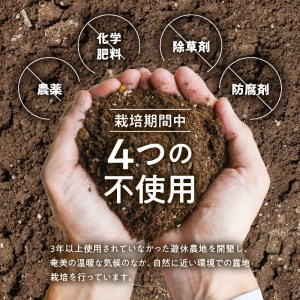 【先行予約】奄美の島らっきょう - 1kg 露地栽培 おつまみ 天ぷら おかか和え 奄美産