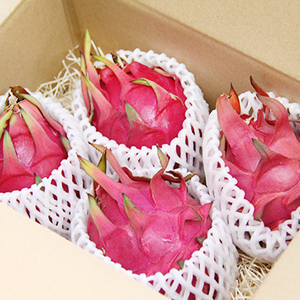 【 2026年 先行予約 】 奄美産 ドラゴンフルーツ 赤玉 3kg A145-007 フルーツ 期間限定 フラスコ ふるさと納税 奄美市 おすすめ ランキング プレゼント ギフト