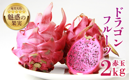 【 2026年 先行予約 】 奄美産 ドラゴンフルーツ 赤玉 2kg A145-008 フルーツ 期間限定 フラスコ ふるさと納税 奄美市 おすすめ ランキング プレゼント ギフト