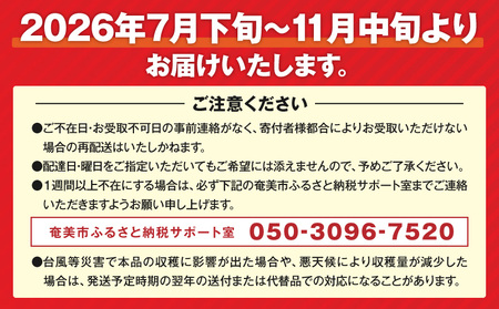 【 2026年 先行予約 】 奄美産 ドラゴンフルーツ 赤玉 2kg A145-008 フルーツ 期間限定 フラスコ ふるさと納税 奄美市 おすすめ ランキング プレゼント ギフト
