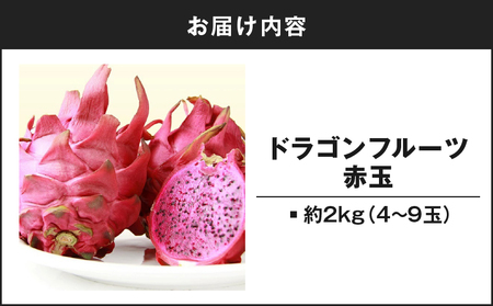 【 2026年 先行予約 】 奄美産 ドラゴンフルーツ 赤玉 2kg A145-008 フルーツ 期間限定 フラスコ ふるさと納税 奄美市 おすすめ ランキング プレゼント ギフト