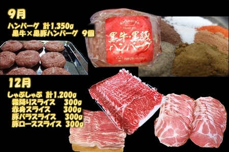 084-14 【全4回】鹿児島黒毛和牛焼き肉、スライス、ハンバーグ定期便