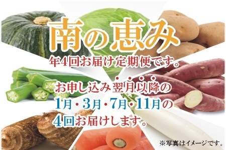 【全4回】南の大地で育てられた旬の野菜・果物定期便 017-15