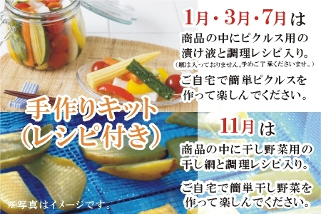 【全4回】南の大地で育てられた旬の野菜・果物定期便 017-15