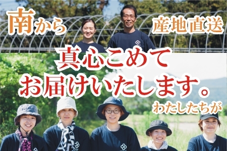 【全4回】南の大地で育てられた旬の野菜・果物定期便 017-15