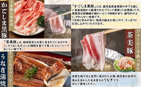 【全4回】かごしま黒豚・茶美豚・うなぎ定期便 106-13