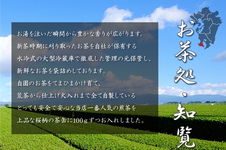 003-06 【片野坂製茶】知覧茶煎茶　沙羅缶ギフト