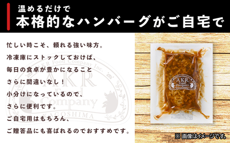 052-05 「かごしま黒豚さつま」デミグラスハンバーグ10個セット