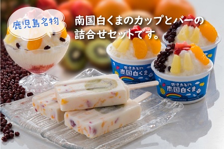 062 8 10 南国白くまカップ バーセット 鹿児島県南九州市 ふるさと納税サイト ふるなび