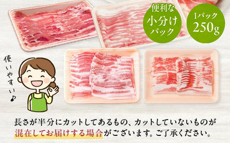 076-10 鹿児島県産豚バラスライス1.5kg