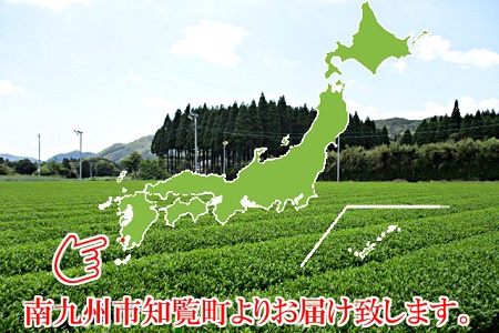 003-08 【片野坂製茶】知覧茶煎茶ティーパック