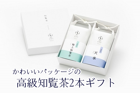 031-06 かわいいパッケージの高級知覧茶2本ギフト