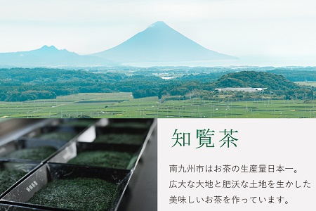 031-06 かわいいパッケージの高級知覧茶2本ギフト