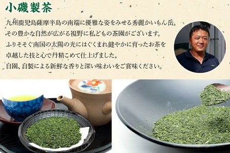 005-10 知覧深蒸し茶 かいもんみどり3本セット