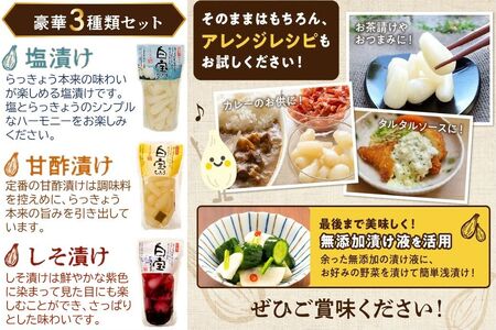 017-07 鹿児島県産砂丘らっきょうプレミアムセット