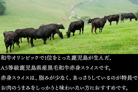 076-02 A5等級鹿児島県産黒毛和牛赤身スライス800g
